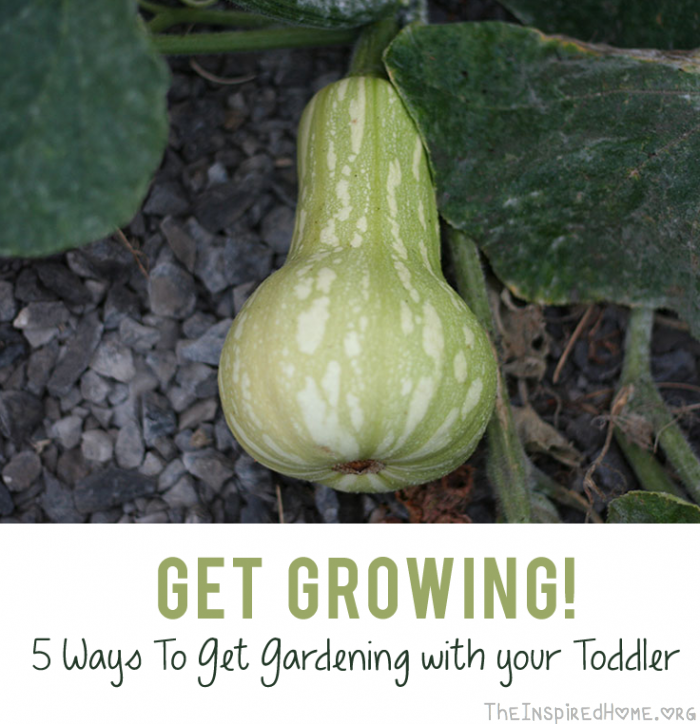Get Growing: 5 Ways to Get Gardening with Your Toddler by theinspiredhome.org