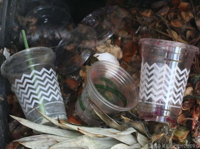 Earth Day PlayDate Compostable Cups in the Compost