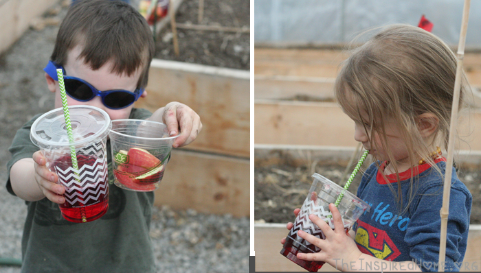 Simple Earth Day Playdate Compostable Cups by Greenmunch.ca