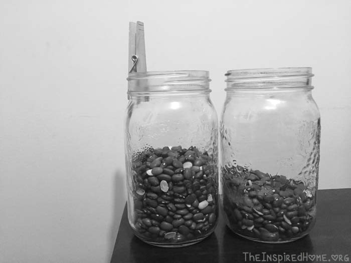 Lessons Learned from a Jar of Beans
