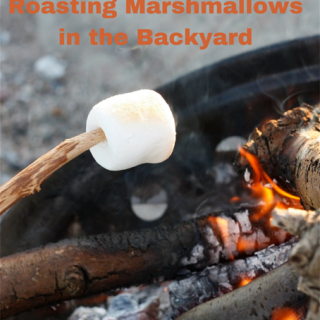 Mini Adventure: Marshmallows in the Backyard