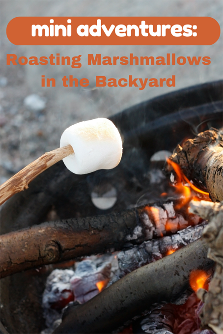 Mini Adventures Marshmallows in the Backyard