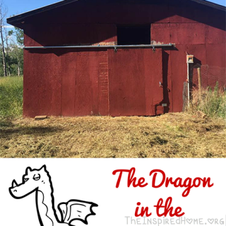 The Dragon in the Barn