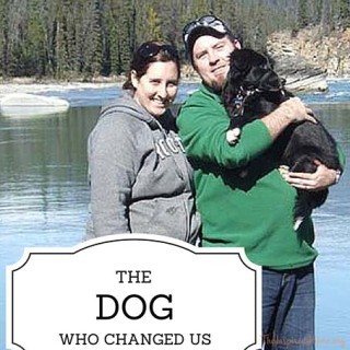 The Dog Who Changed Us