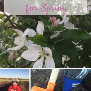 Easy Activities for Spring
