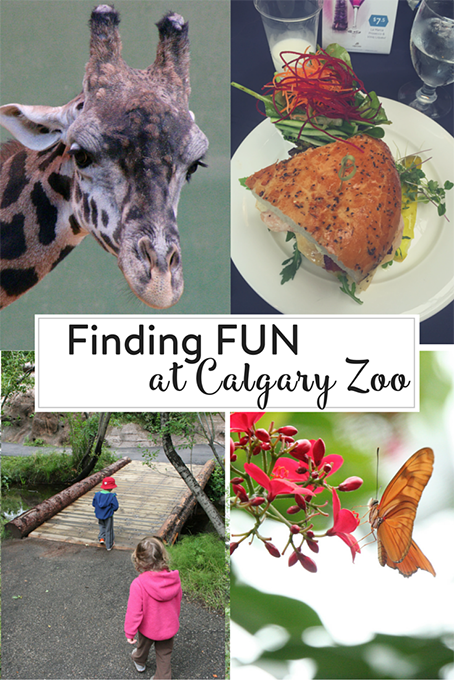 Finding FUN at the Calgary Zoo