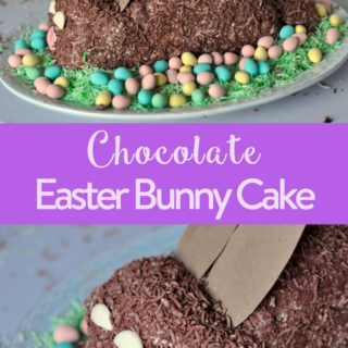 Chocolate Easter Bunny Cake: Lactose Free