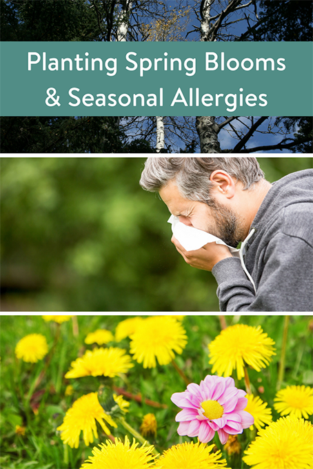 TheInspiredHome.org // Tips to Help Your Seasonal Allergies