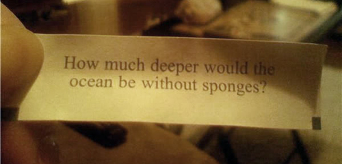 funny fortune cookies