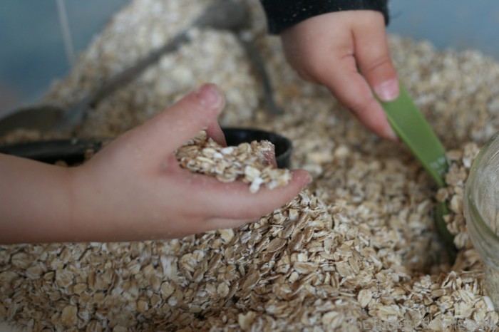 Oatmeal Sensory Bin - A Montessori At Home Toddler Activitiy by theinspiredhome.org