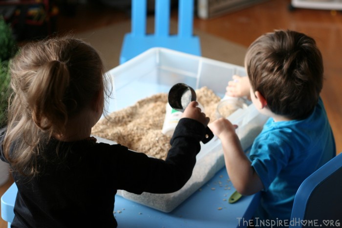 Oatmeal Sensory Bin - A Montessori At Home Toddler Activitiy by theinspiredhome.org