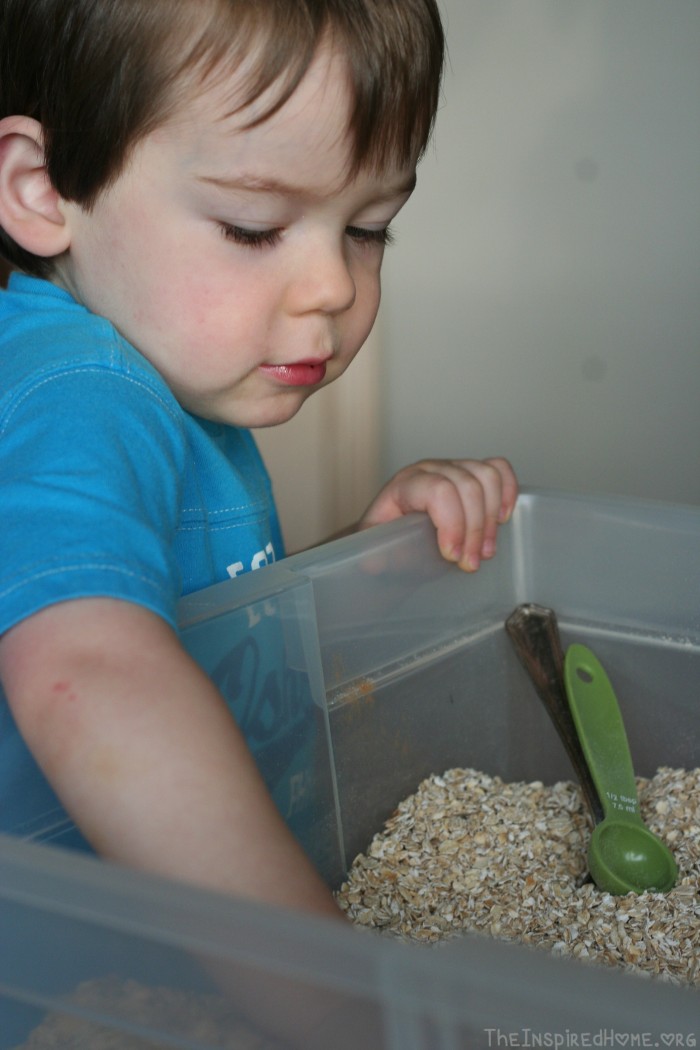 Oatmeal Sensory Bin - A Montessori At Home Toddler Activitiy by theinspiredhome.org