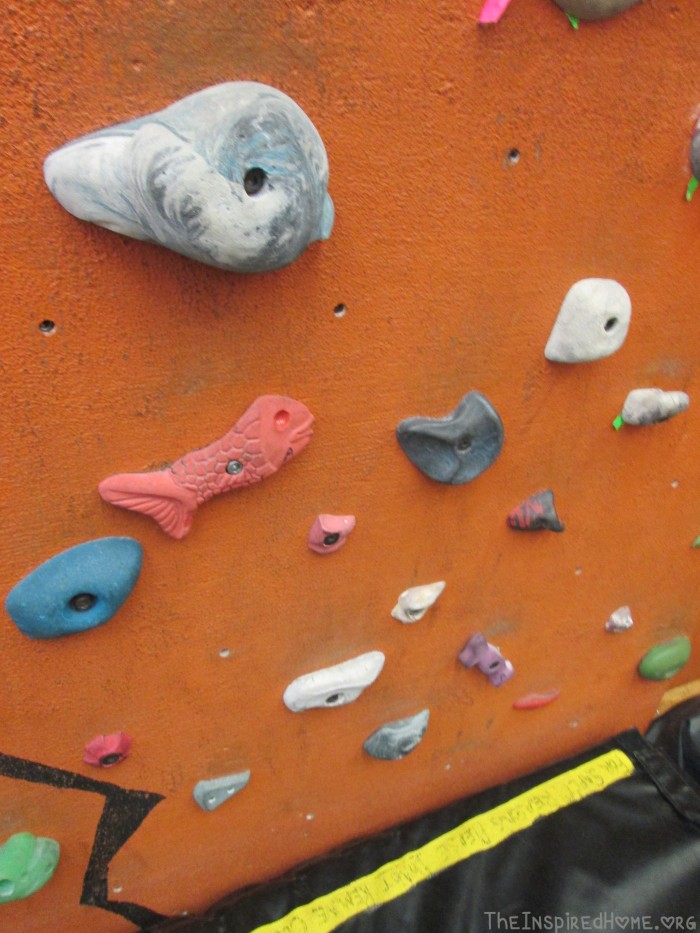 Rock Climbing - Kid Friendly Holds