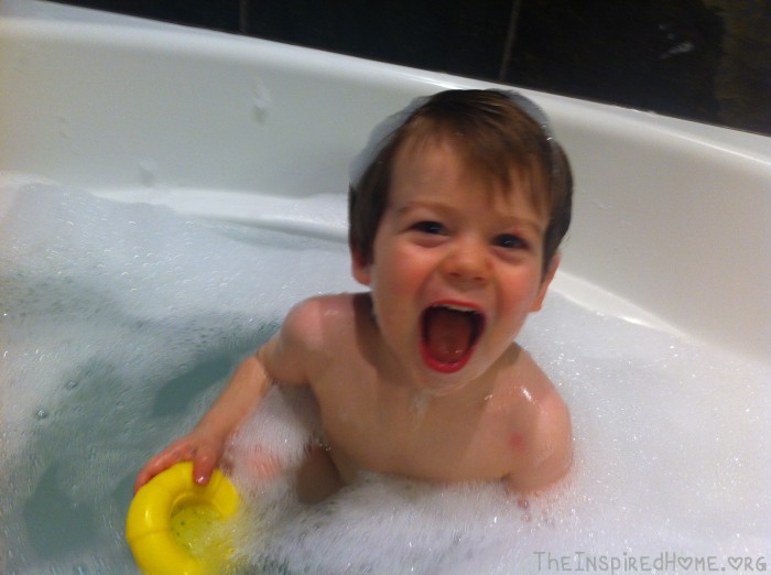 Berry Bubble Bath Fun by Aleva Naturals, Review by theinspiredhome.org Berry Bubble Bath Fun by Aleva Naturals, Review by theinspiredhome.org