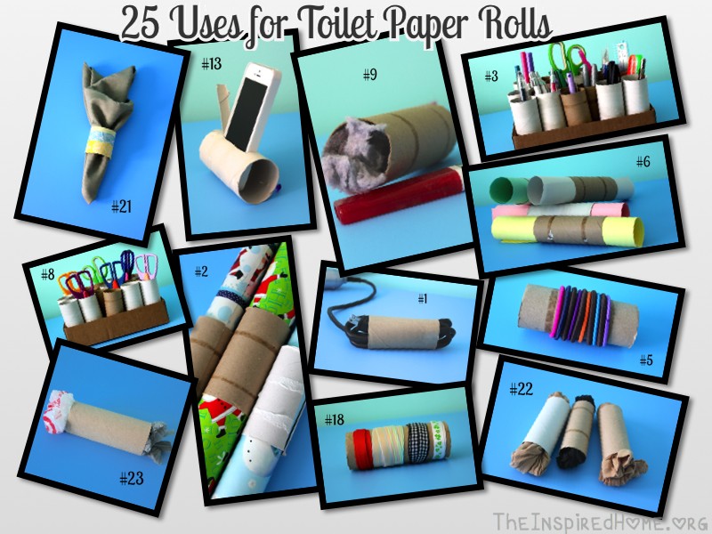 Toilet Paper Rolls