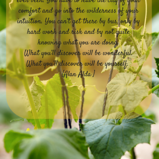 TheInspiredHome.org // Purging the Stuff - have courage to live life creativiely