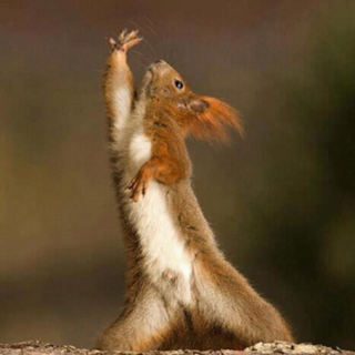 TheInspiredHome.org // Stretch It Out Before You Work It Out. Make sure to stretch all major muscle groups before working out. Here's some great tips to help you out.