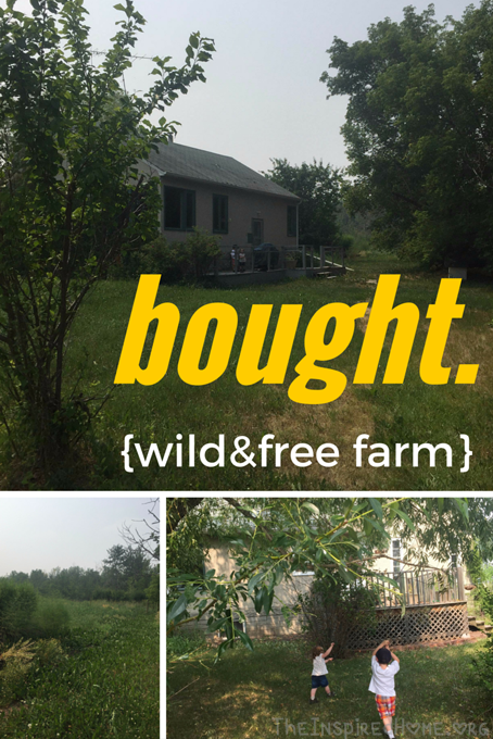 bought wild and free farms