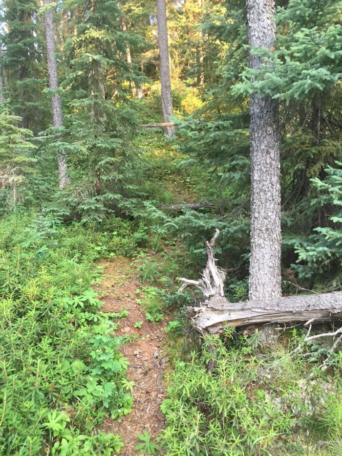 TheInspiredHome.org // Mom Cave