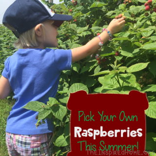 TheInspiredHome.org // Get outside this summer and pick your own raspberries! Or maybe you prefer cherries or peaches or apples. Whatever you like, we'll tell you when to pick 'em!