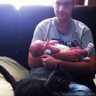 TheInspiredHome.org // Life With Kids & Cats