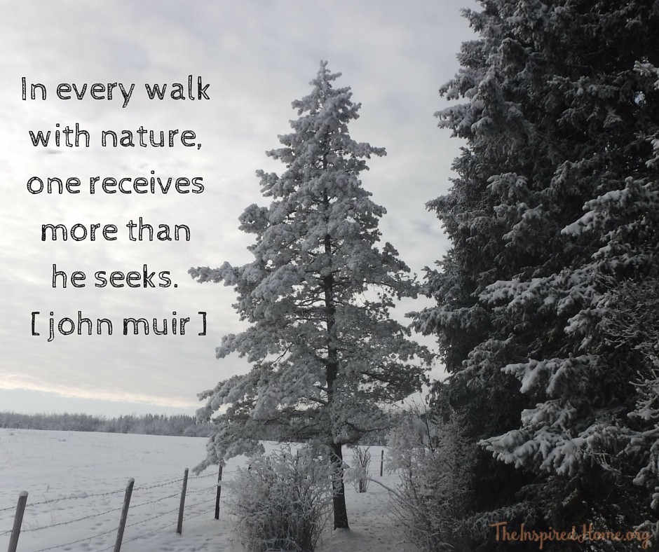 In every walk with nature,one receives more thanhe seeks. [ john muir ]