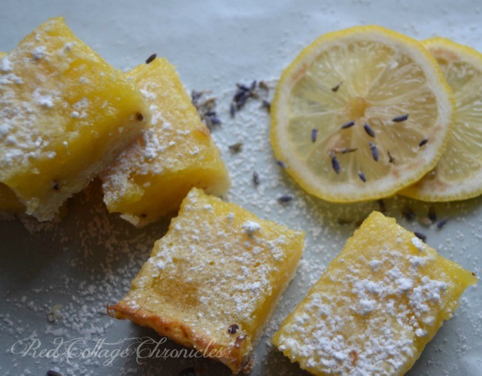a floral twist on a classic lemon square