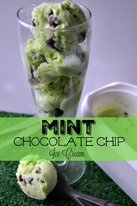 Celebrate St.Patrick's Day with a bit of green! Mint Chocolate Chip Ice Cream