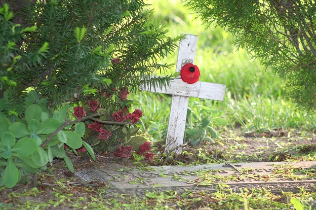 TheInspiredHome.org // DIY Felt Poppy for Remembrance Day / Veterans Day