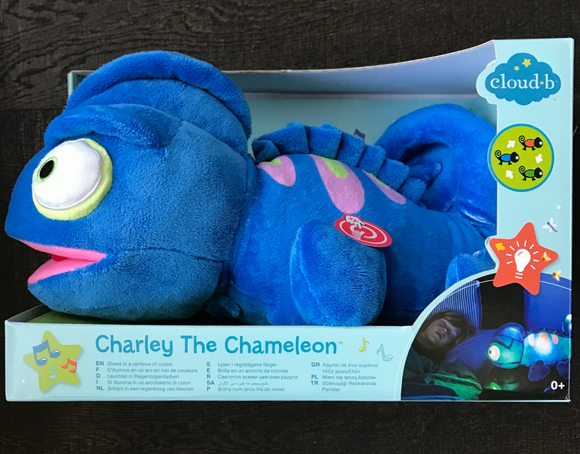 TheInspiredHome.org // gift ideas for kids with special needs Charley