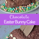 TheInspiredHome.org // Easter Bunny Cake Featured