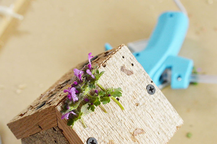 TheInspiredHome.org // How to Make a Fairy Garden. A simple spring DIY to encourage magical whimsy in your garden.