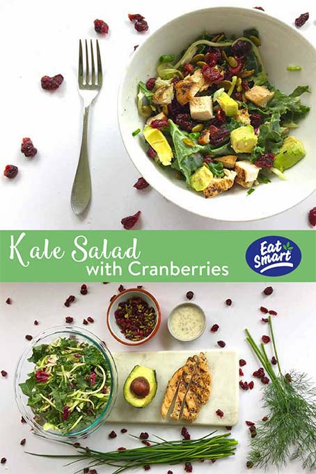 TheInspiredHome.org // Kale Salad with Cranberries. A quick kale salad with cranberries made from Sweet Kale gourmet vegetable salad kit, avocado, grilled chicken breast, and fresh herbs.