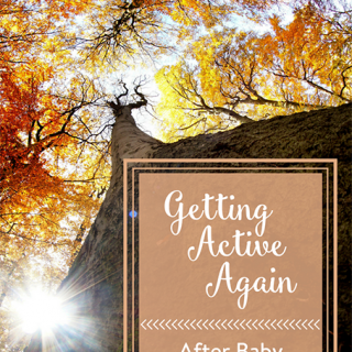 TheInspiredHome.org // Getting Active Again, After Baby Number 3